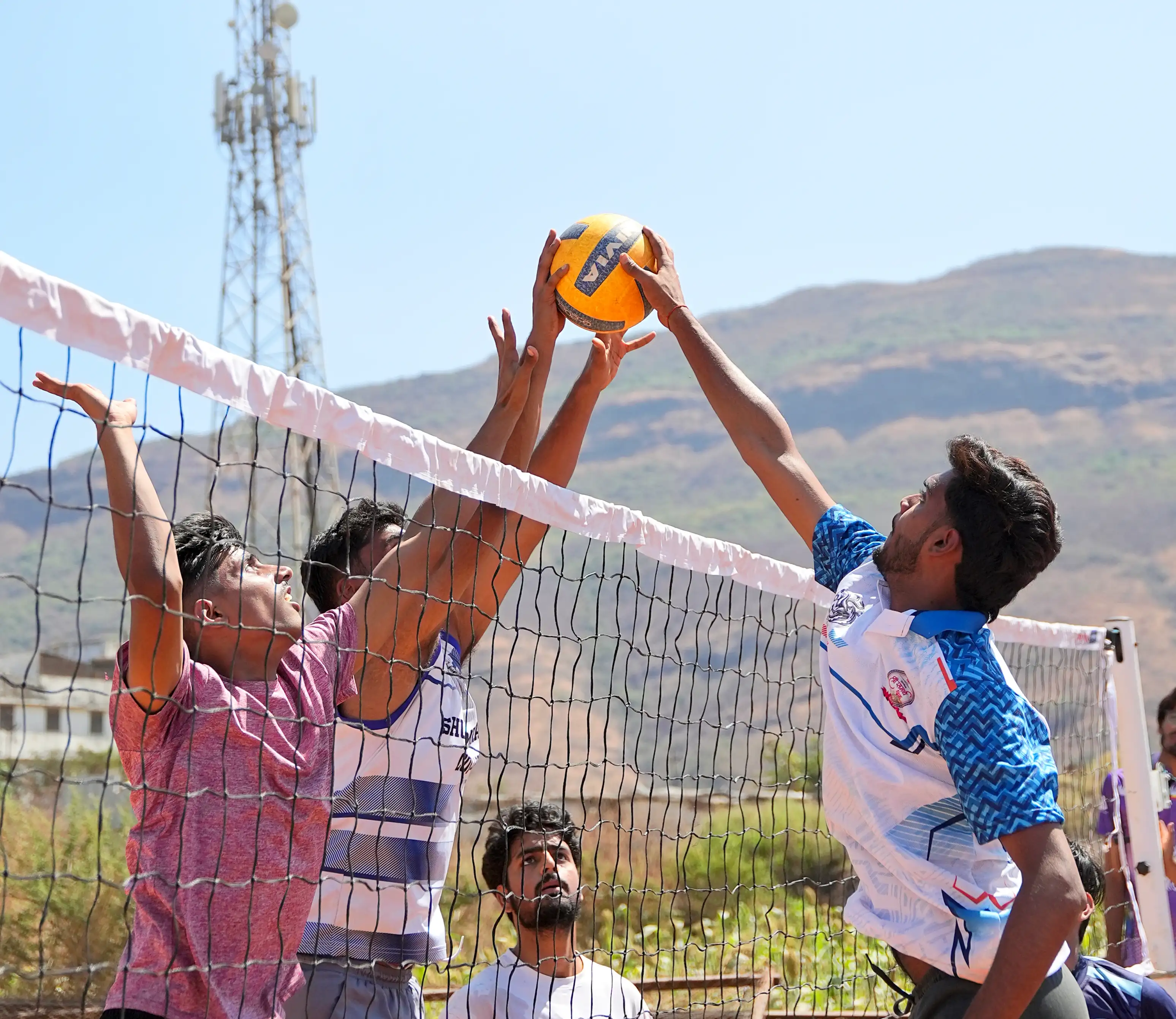 PCU sports gallery 75