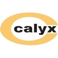 Calyx Chemicals & Pharmaceuticals Ltd