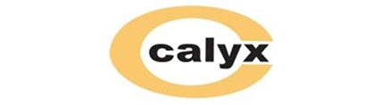 Calyx Chemicals & Pharmaceuticals Ltd